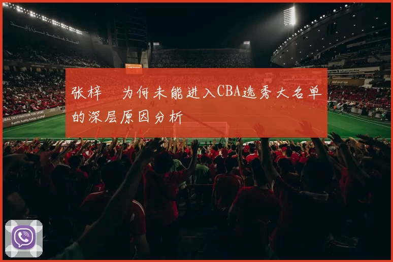 张梓祎为何未能进入CBA选秀大名单的深层原因分析