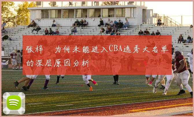 张梓祎为何未能进入CBA选秀大名单的深层原因分析