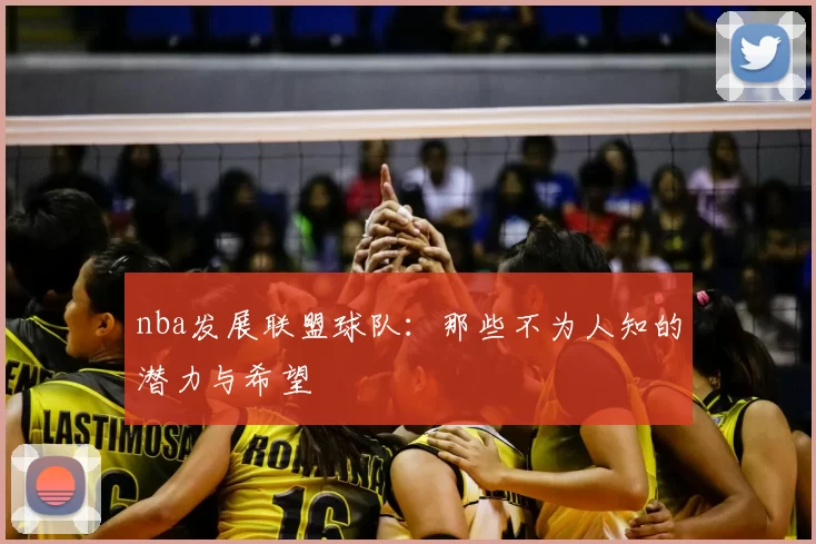 nba发展联盟球队：那些不为人知的潜力与希望