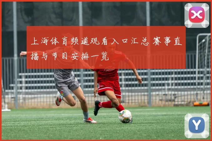 上海体育频道观看入口汇总 赛事直播与节目安排一览