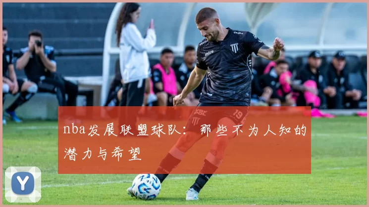 nba发展联盟球队：那些不为人知的潜力与希望