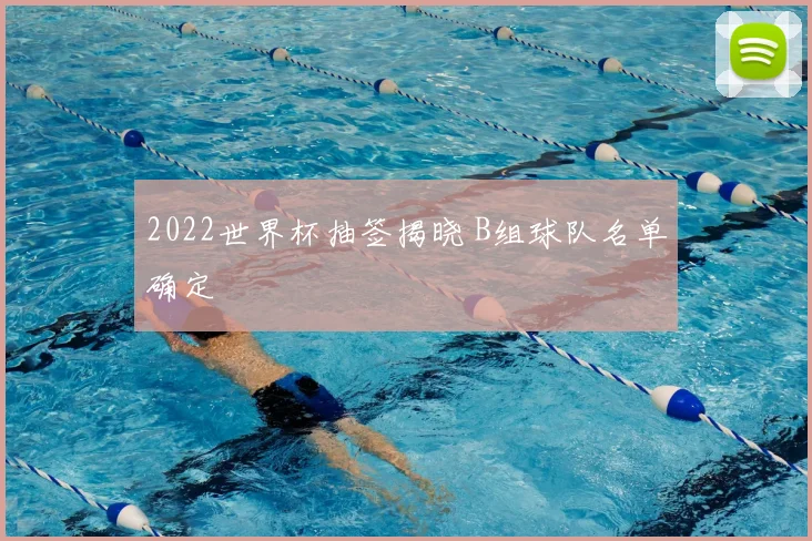 2022世界杯抽签揭晓 B组球队名单确定